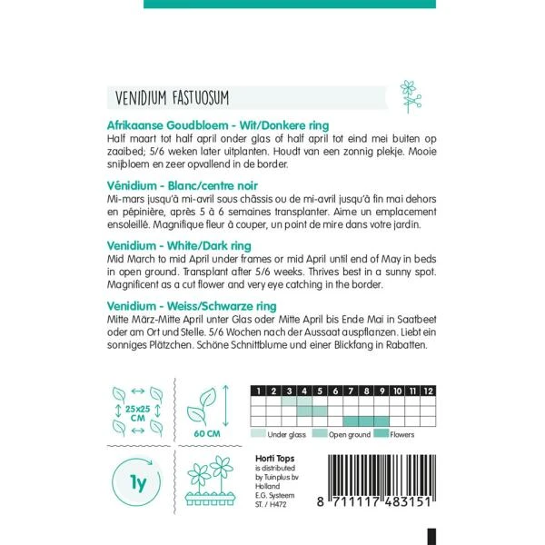 Afrikaanse Goudsbloem - Venidium Fastuosum 2 Afrikaanse Goudsbloem - Venidium Fastuosum - Afbeelding 2