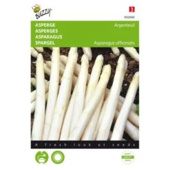 Asperges Argenteuil - Asparagus Officinalis
