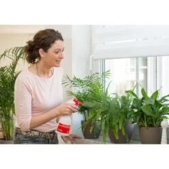 Birchmeier Foxy Plus 8 Birchmeier Foxy Plus -Zaden Tuin Verkoop birchmeier foxy plus 1496510253 2 600