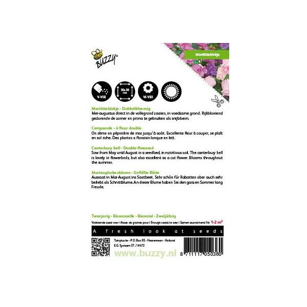 Campanula Medium (dubbelbloemig Marietteklokje) 2 Campanula Medium (dubbelbloemig Marietteklokje) - Afbeelding 2