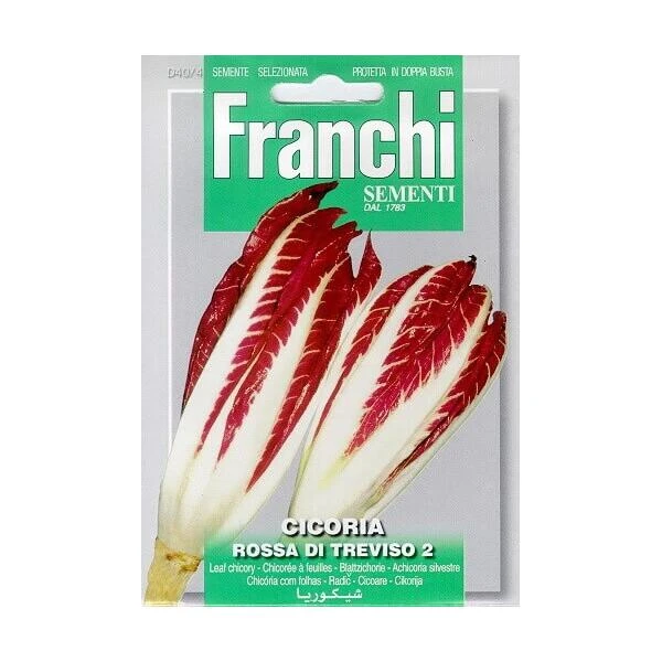 Cicoria Rossa Di Treviso - Roodlof 1 Cicoria Rossa Di Treviso - Roodlof