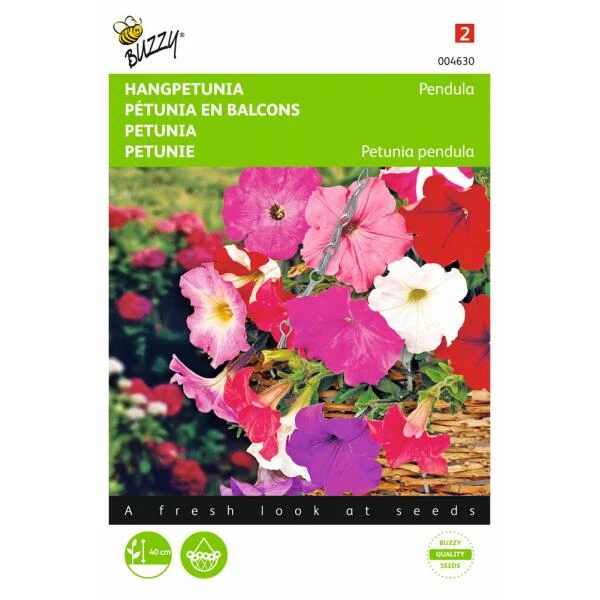Hangpetunia - Petunia Pendula 1 Hangpetunia - Petunia Pendula