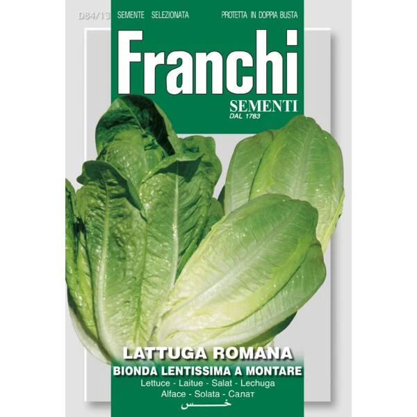 Lattuga Romana Bionda - Sla Wonder Der Vier Jaargetijden 1 Lattuga Romana Bionda - Sla Wonder Der Vier Jaargetijden