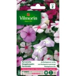 Maagdenpalm Van Madagascar - Vinca Rosea