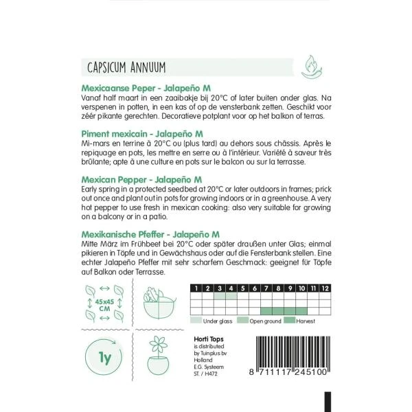 Mexicaanse Peper Jalapeño - Capsicum Annuum 2 Mexicaanse Peper Jalapeño - Capsicum Annuum - Afbeelding 2