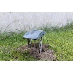 Mollenklem - Innovatief En Robuust 7 Mollenklem - Innovatief En Robuust -Zaden Tuin Verkoop mollenklem mollenijzer 1484062617 4 600