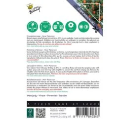 Zaden Tuin Verkoop -Zaden Tuin Verkoop oranjeboompje solanum pseudocapsicum 1646840377 1425 600