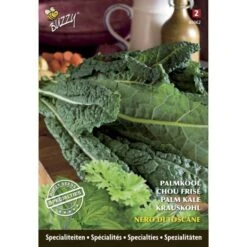 Palmkool Nero Di Toscane