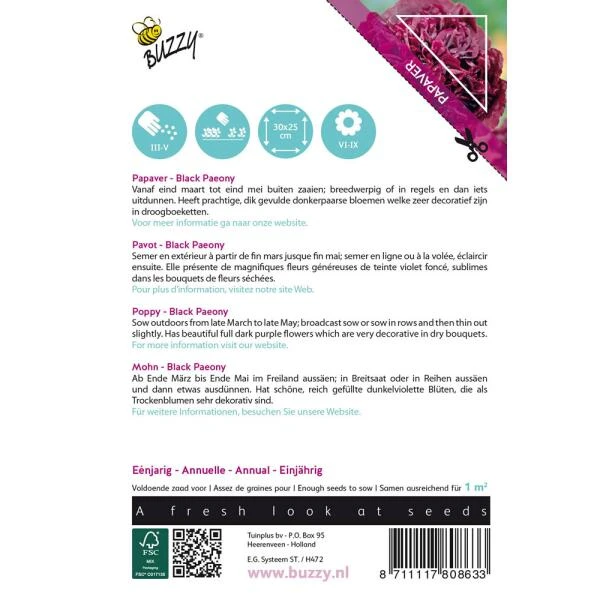 Papaver Black Paeony 2 Papaver Black Paeony - Afbeelding 2