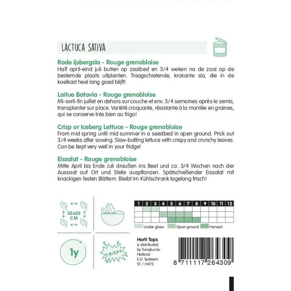 Rode Ijsbergsla, Rouge Grenobloise - Lactuca Sativa 2 Rode Ijsbergsla, Rouge Grenobloise - Lactuca Sativa - Afbeelding 2