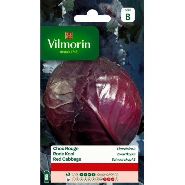 Rode Kool Zwartkop 3 1 Rode Kool Zwartkop 3