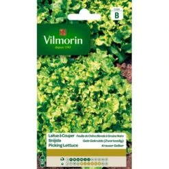 Snijsla Gele Gekrulde (zwartzadig)