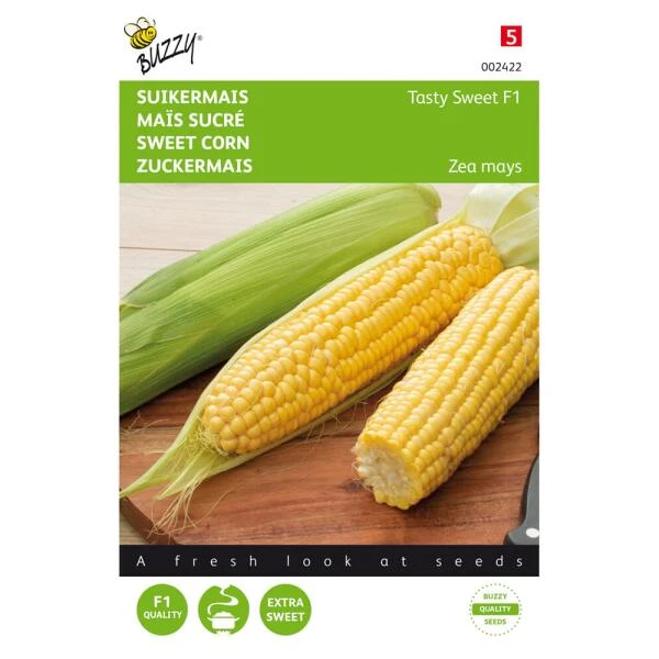 Suikermaïs Tasty Sweet F1 - Zea Mays 1 Suikermaïs Tasty Sweet F1 - Zea Mays