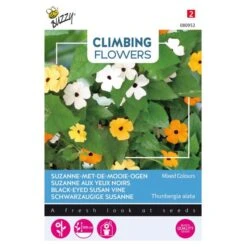 Suzanne Met De Mooie Ogen - Thunbergia Alata (klimmer)
