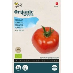 Zaden Tuin Verkoop 21 Tomaten Ace 55VF BIO