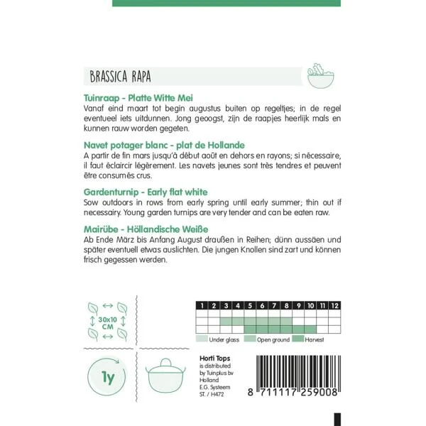 Tuinraap Platte Witte Mei - Brassica Rapa 2 Tuinraap Platte Witte Mei - Brassica Rapa - Afbeelding 2