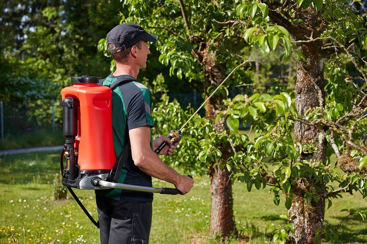 Zaden Tuin Verkoop -Zaden Tuin Verkoop birchmeier rugspuit iris at1 n 15 lt professionele