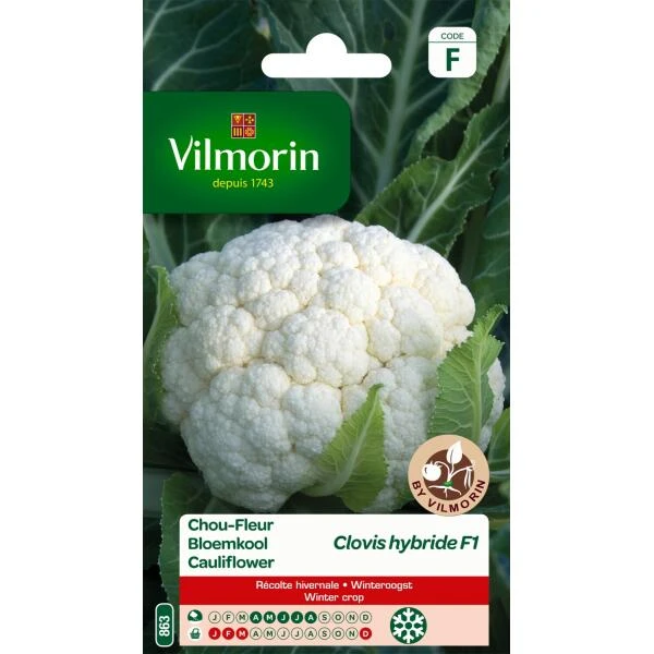 Zaden Tuin Verkoop -Zaden Tuin Verkoop bloemkool clovis hf1 1646839534 157 600